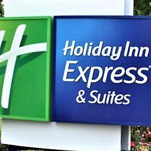 Holiday Inn Express & Suites - Detroit - Dearborn By Ihg